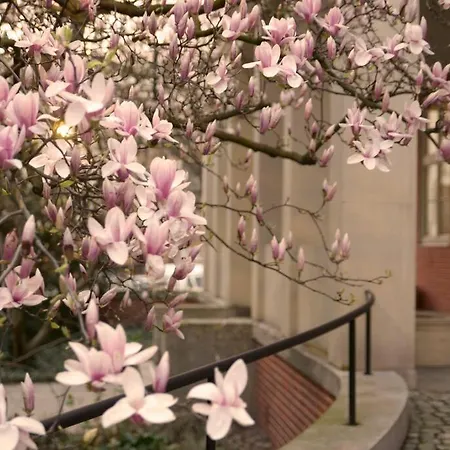 Elegant In The Center Βρότσλαβ